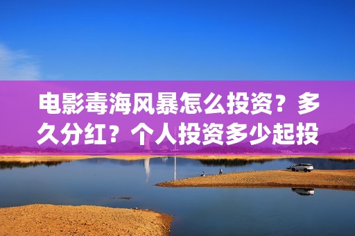 电影毒海风暴怎么投资？多久分红？个人投资多少起投？(毒海风暴有哪几家拍摄)