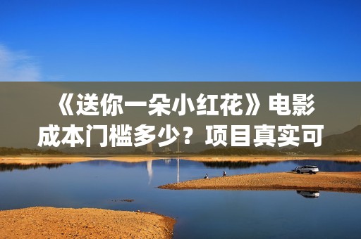  《送你一朵小红花》电影成本门槛多少？项目真实可靠吗？(送你一朵小红花 歌曲)