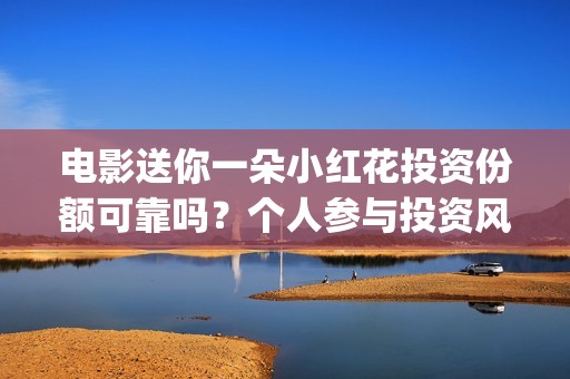 电影送你一朵小红花投资份额可靠吗？个人参与投资风险大吗？(电影送你一朵小红花观后感)