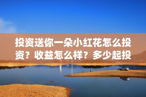 投资送你一朵小红花怎么投资？收益怎么样？多少起投？(投资送你一朵小红花)