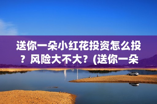 送你一朵小红花投资怎么投？风险大不大？(送你一朵小红花简谱)