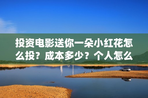 投资电影送你一朵小红花怎么投？成本多少？个人怎么参与？(投资电影一定赚钱吗)