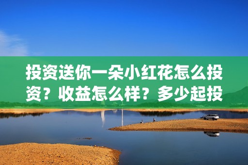 投资送你一朵小红花怎么投资？收益怎么样？多少起投？(投资送你一朵小红花好看吗)
