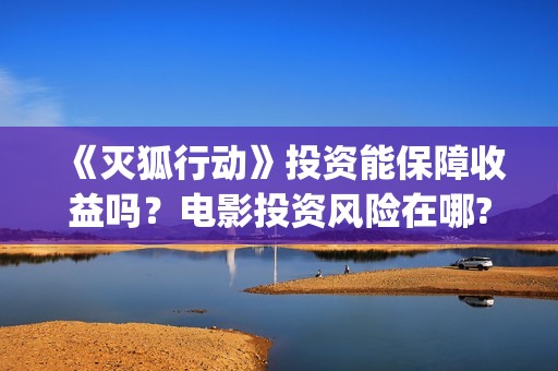《灭狐行动》投资能保障收益吗？电影投资风险在哪?(灭狐行动出品方)