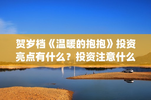 贺岁档《温暖的抱抱》投资亮点有什么？投资注意什么事项？多少钱一份？(贺岁片温暖的抱抱)