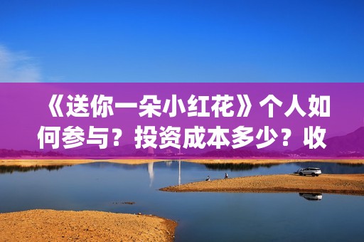《送你一朵小红花》个人如何参与？投资成本多少？收益空间大吗？(送你一朵小红花歌词)