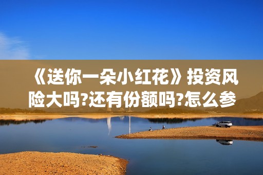 《送你一朵小红花》投资风险大吗?还有份额吗?怎么参与(送你一朵小红花原唱)
