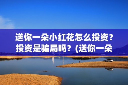 送你一朵小红花怎么投资？投资是骗局吗？(送你一朵小红花简谱)