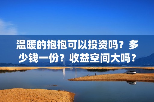 温暖的抱抱可以投资吗？多少钱一份？收益空间大吗？(温 暖的抱抱)