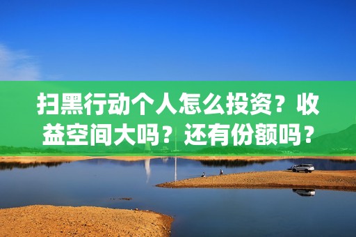 扫黑行动个人怎么投资？收益空间大吗？还有份额吗？(扫黑行动主要内容)