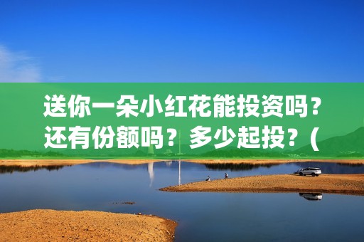 送你一朵小红花能投资吗？还有份额吗？多少起投？(送你一朵小红花电影)