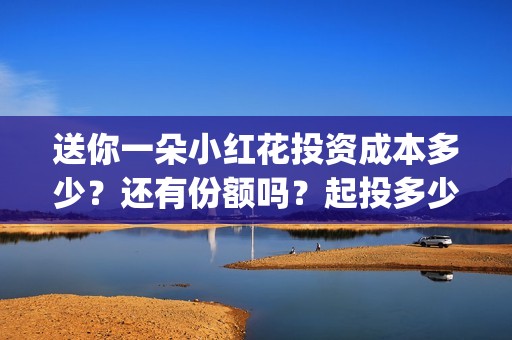 送你一朵小红花投资成本多少？还有份额吗？起投多少？(送你一朵小红花歌词)