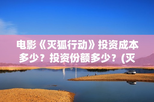 电影《灭狐行动》投资成本多少？投资份额多少？(灭狐行动最近消息)