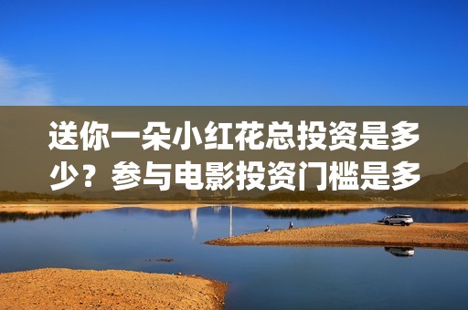 送你一朵小红花总投资是多少？参与电影投资门槛是多少？(送你一朵小红花简谱)
