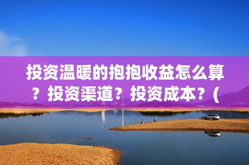 投资温暖的抱抱收益怎么算？投资渠道？投资成本？(温暖的抱抱投资商)