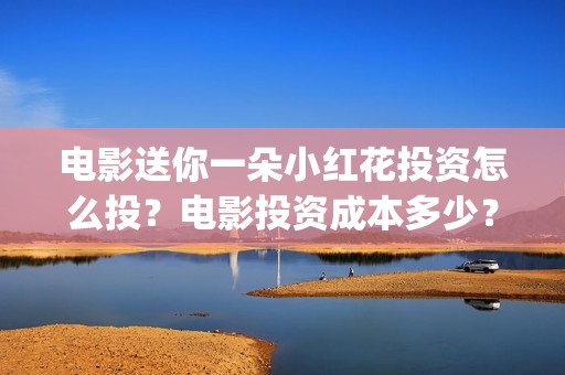 电影送你一朵小红花投资怎么投？电影投资成本多少？(电影送你一朵小红花豆瓣评分)