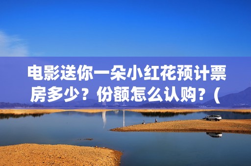 电影送你一朵小红花预计票房多少？份额怎么认购？(电影送你一朵小红花豆瓣评分)