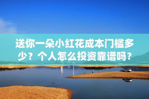 送你一朵小红花成本门槛多少？个人怎么投资靠谱吗？(送你一朵小红花歌词)