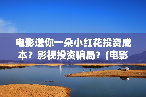 电影送你一朵小红花投资成本？影视投资骗局？(电影送你一朵小红花完整版免费观看)