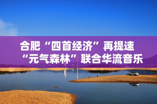 合肥“四首经济”再提速 “元气森林”联合华流音乐集团打造青年空间首店落户