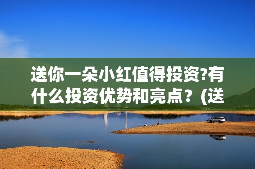 送你一朵小红值得投资?有什么投资优势和亮点？(送你一朵小红女主是谁)