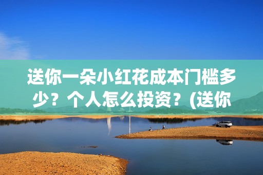 送你一朵小红花成本门槛多少？个人怎么投资？(送你一朵小红花结局)