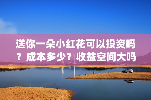 送你一朵小红花可以投资吗？成本多少？收益空间大吗？(送你一朵小红花 歌曲)