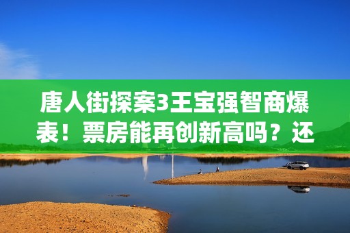 唐人街探案3王宝强智商爆表！票房能再创新高吗？还能投资吗？(唐人街探案3王宝强)