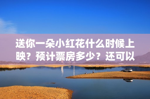 送你一朵小红花什么时候上映？预计票房多少？还可以投资吗？(送你一朵小红花歌词)