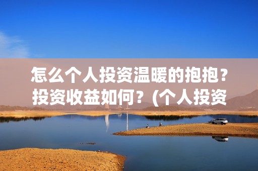 怎么个人投资温暖的抱抱？投资收益如何？(个人投资者怎么投资创业公司)