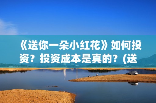 《送你一朵小红花》如何投资？投资成本是真的？(送你一朵小红花原唱)