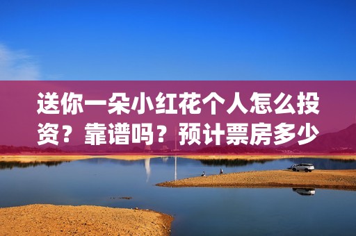 送你一朵小红花个人怎么投资？靠谱吗？预计票房多少？(送你一朵小红花原唱)