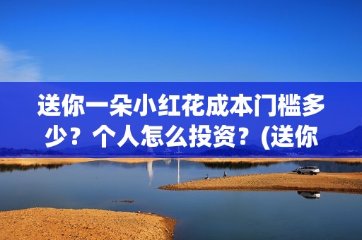 送你一朵小红花成本门槛多少？个人怎么投资？(送你一朵小红花简谱)