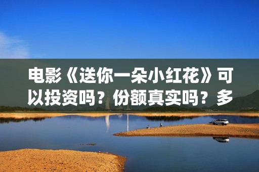 电影《送你一朵小红花》可以投资吗？份额真实吗？多少钱一份？(电影《送你一朵小红花》)