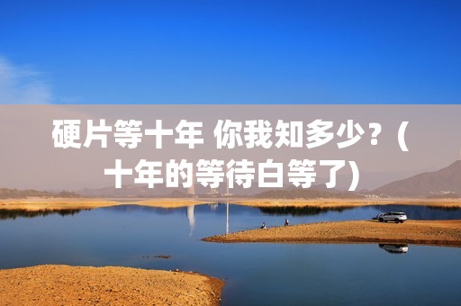 硬片等十年 你我知多少？(十年的等待白等了)