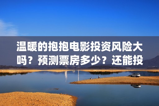 温暖的抱抱电影投资风险大吗？预测票房多少？还能投吗？(温暖抱抱电影演员)