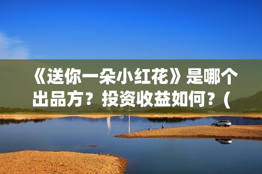 《送你一朵小红花》是哪个出品方？投资收益如何？(送你一朵小红花演员表)