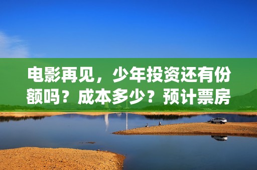 电影再见，少年投资还有份额吗？成本多少？预计票房？(电影再见少年票房)