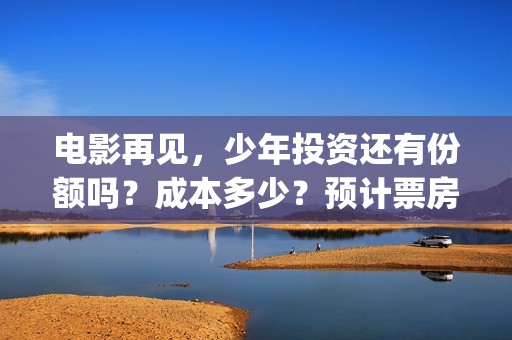 电影再见，少年投资还有份额吗？成本多少？预计票房？(电影再见少年剧情详细)