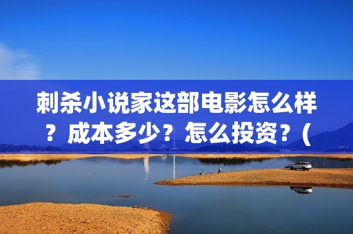 刺杀小说家这部电影怎么样？成本多少？怎么投资？(刺杀小说家说的是)