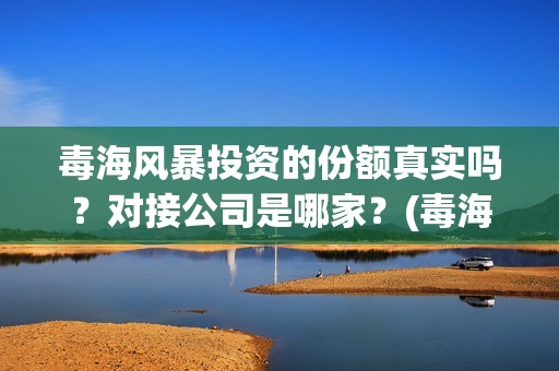 毒海风暴投资的份额真实吗？对接公司是哪家？(毒海风暴上映时间)