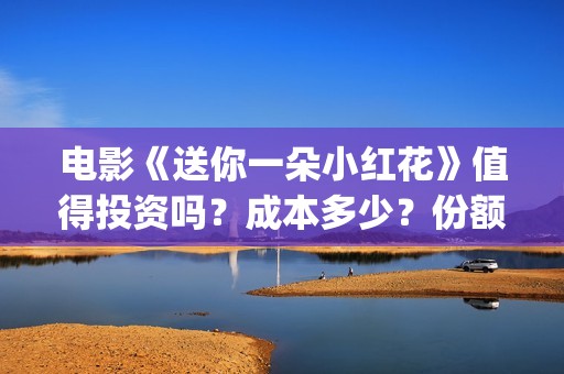电影《送你一朵小红花》值得投资吗？成本多少？份额是真是假？(电影《送你一朵小红花》易烊千玺在)