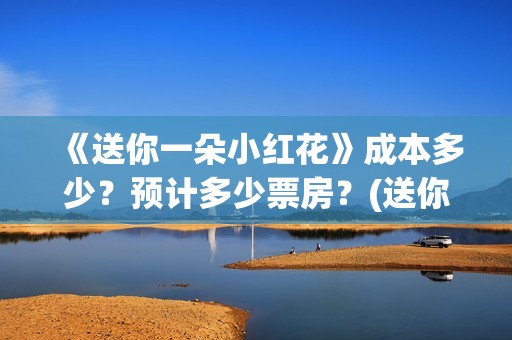 《送你一朵小红花》成本多少？预计多少票房？(送你一朵小红花电影免费观看)