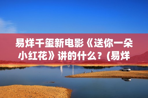 易烊千玺新电影《送你一朵小红花》讲的什么？(易烊千玺新电影2025年)