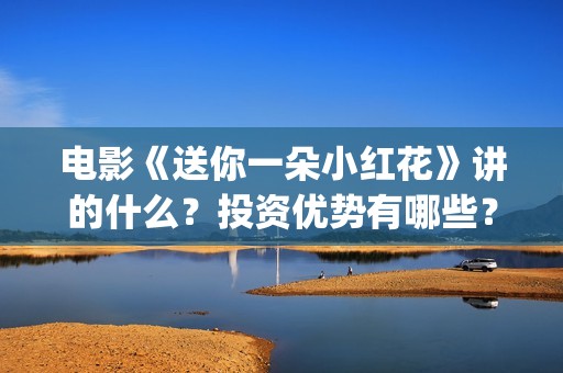 电影《送你一朵小红花》讲的什么？投资优势有哪些？(电影送你一朵小红花完整版免费观看)
