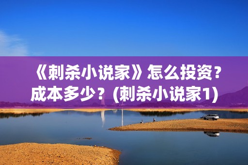 《刺杀小说家》怎么投资？成本多少？(刺杀小说家1)