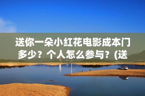 送你一朵小红花电影成本门多少？个人怎么参与？(送你一朵小红花简谱)