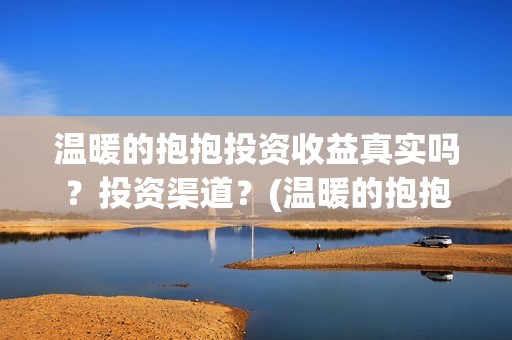 温暖的抱抱投资收益真实吗？投资渠道？(温暖的抱抱投资金额)