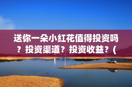 送你一朵小红花值得投资吗？投资渠道？投资收益？(送你一朵小红花 歌曲)