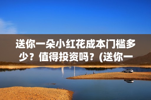 送你一朵小红花成本门槛多少？值得投资吗？(送你一朵小红花 歌曲)